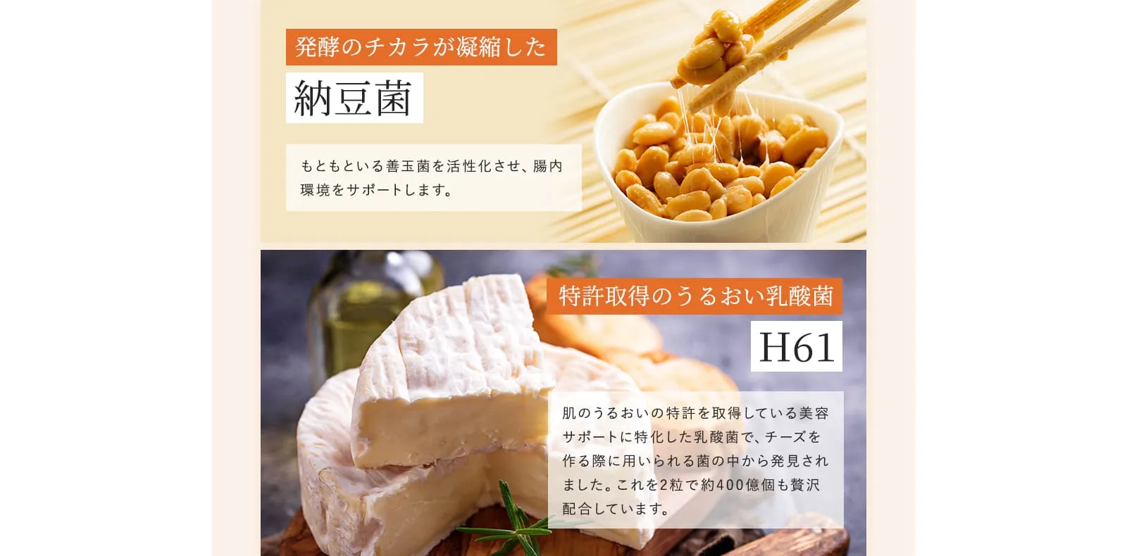 発酵のチカラが凝縮した納豆菌　もともといる善玉菌を活性化させ、腸内環境をサポートします。　特許取得のうるおい乳酸菌H61　肌のうるおいの特許を取得している美容サポートに特化した乳酸菌で、チーズを作る際に用いられる菌の中から発見されました。これを2粒で約400億個も贅沢配合しています。