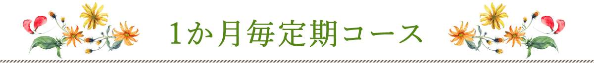 30日毎1袋お届けコース