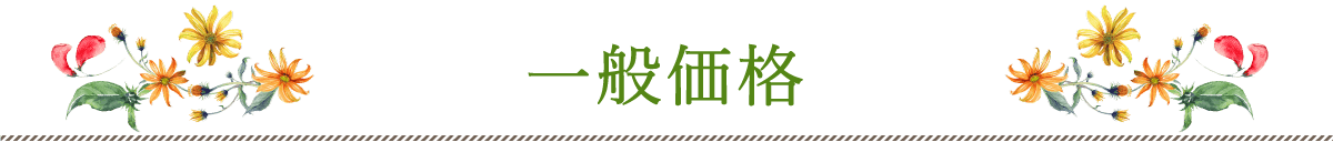 一般価格