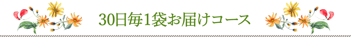 30日毎1袋お届けコース