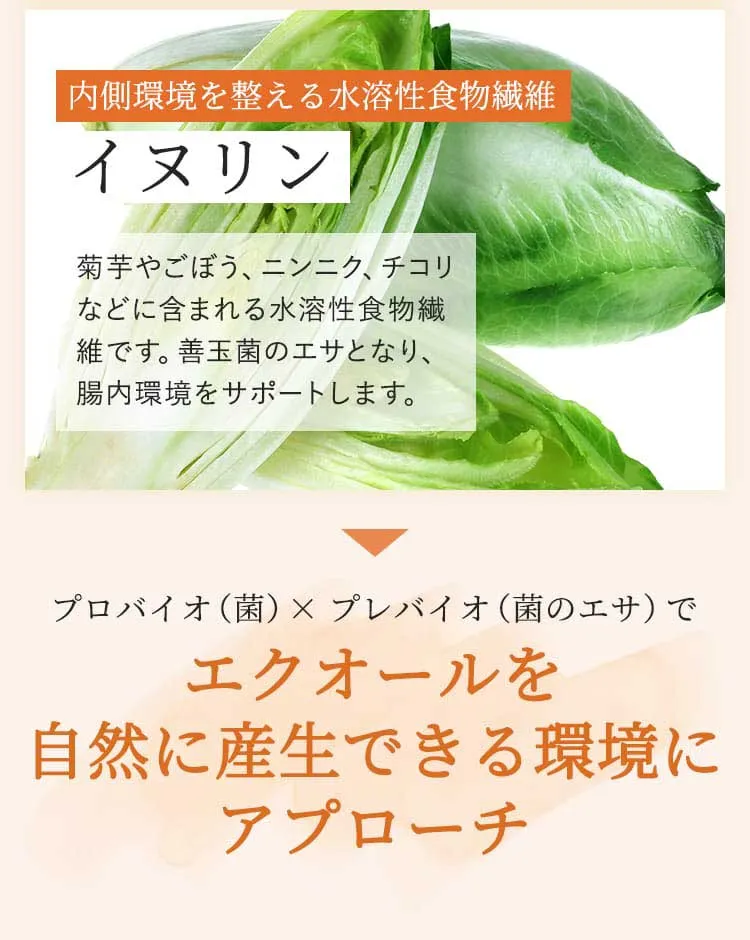 内側環境を整える水溶性食物繊維イヌリン　菊芋やごぼう、ニンニク、チコリなどに含まれる水溶性食物繊維です。善玉菌のエサとなり、腸内環境をサポートします。　プロバイオ(菌)×プレバイオ(菌のエサ)でエクオールを自然に産生できる環境にアプローチ