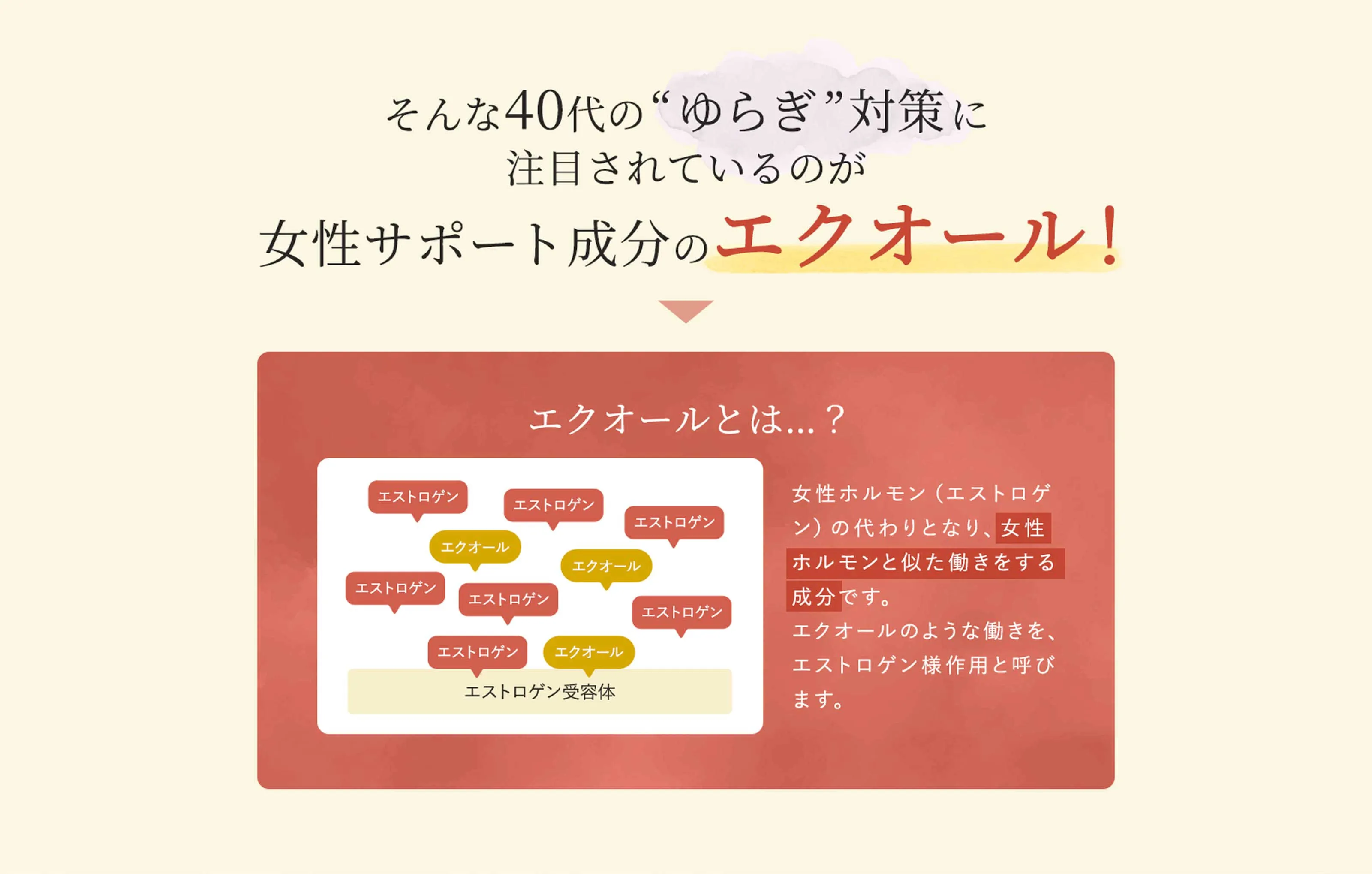 女性サポート成分のエクオール！　エクオールとは？　女性ホルモン(エストロゲン)の代わりとなり、女性ホルモンと似た働きをする成分です。エクオールのような働きを、エストロゲン様作用と呼びます。