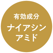 有効成分　ナイアシンアミド