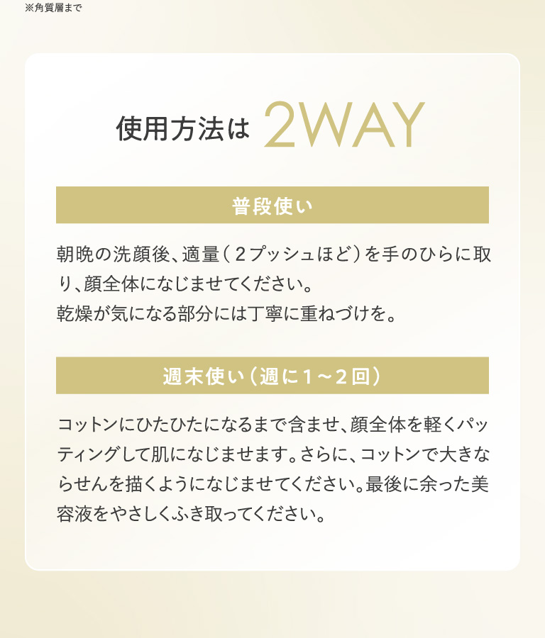 使用方法は2WAY