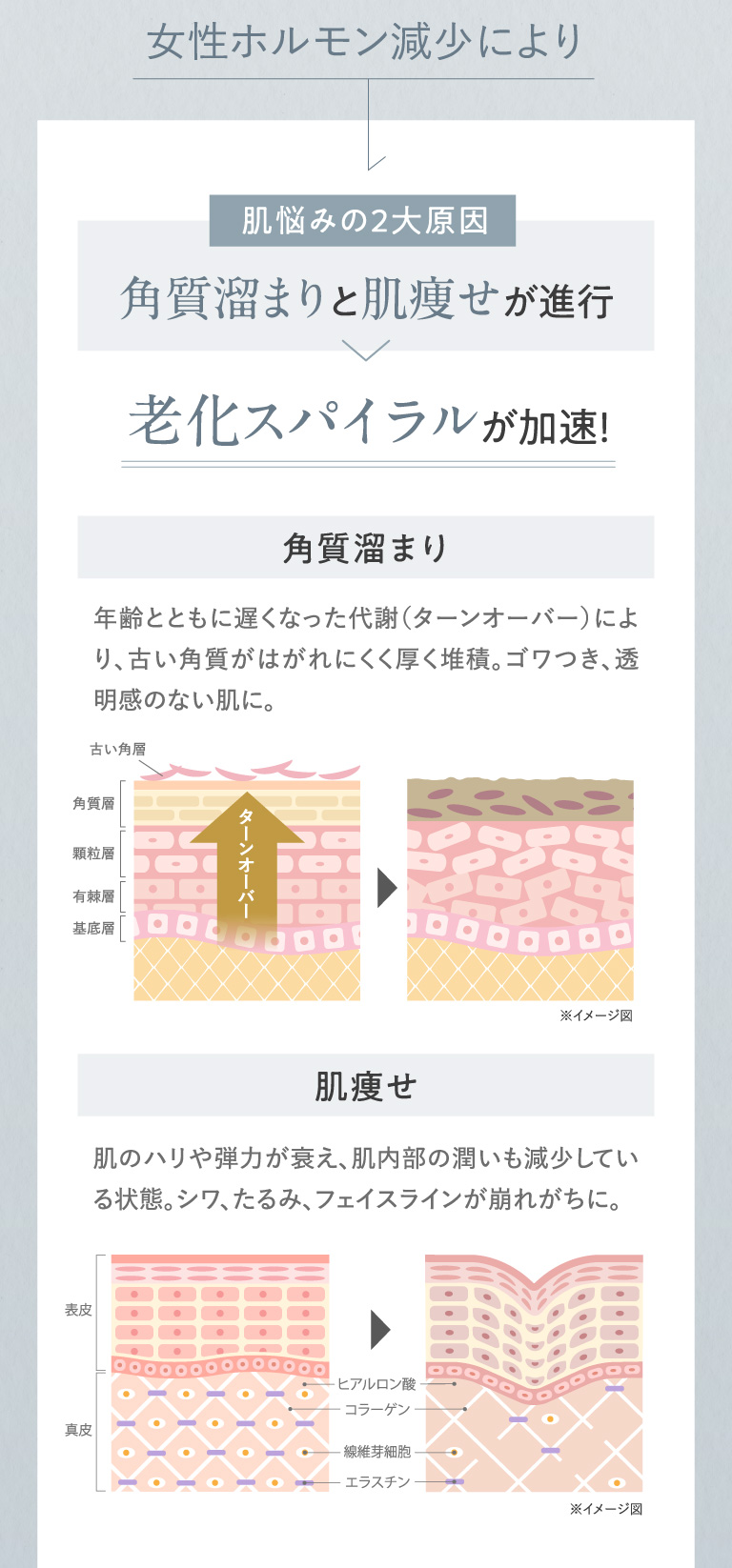 女性ホルモン減少により肌悩みの２大原因角質溜まりと肌痩せが進行 老化スパイラルが加速！
